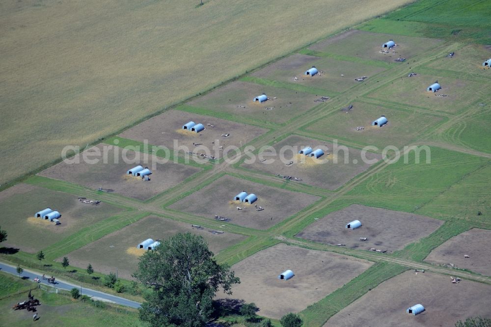 Aerial image Rudow - Animal breeding equipment Livestock breeding for meat production in Rudow in the state Mecklenburg - Western Pomerania