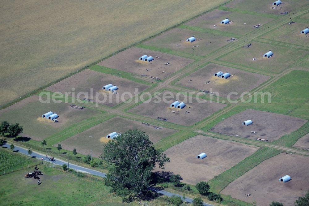 Aerial photograph Rudow - Animal breeding equipment Livestock breeding for meat production in Rudow in the state Mecklenburg - Western Pomerania