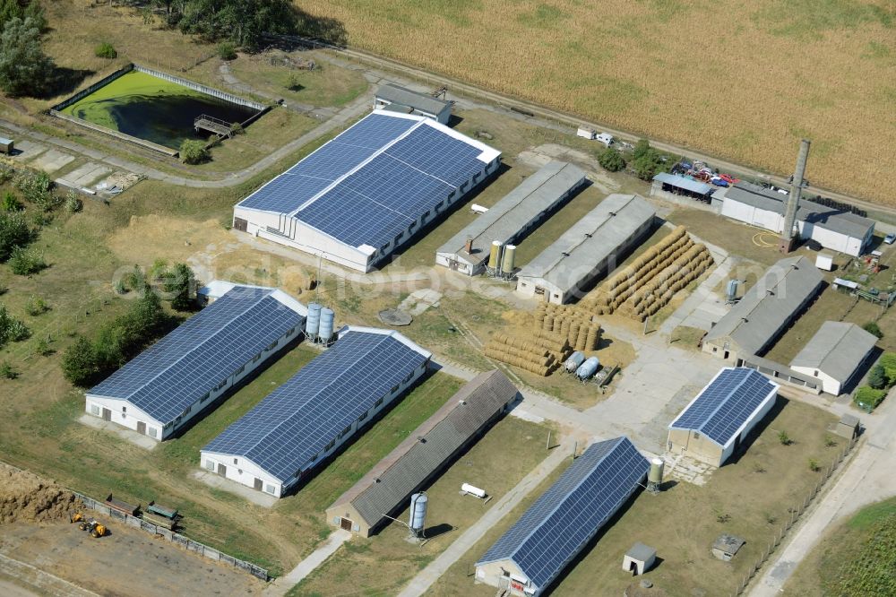 Aerial photograph Schönfließ - Animal breeding equipment Livestock breeding for meat production in Schoenfliess in the state Brandenburg