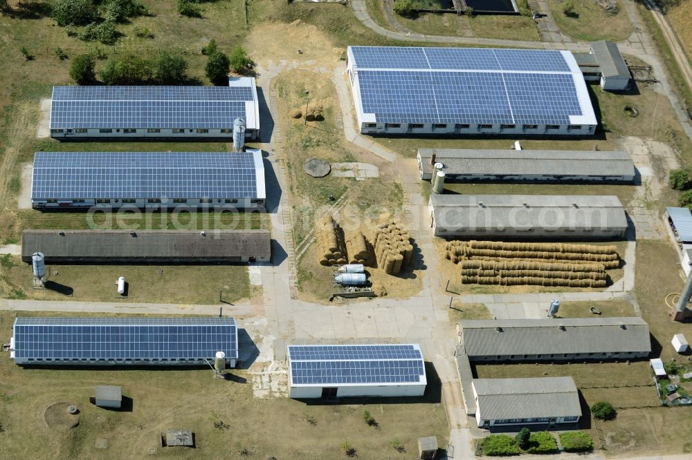 Schönfließ from the bird's eye view: Animal breeding equipment Livestock breeding for meat production in Schoenfliess in the state Brandenburg