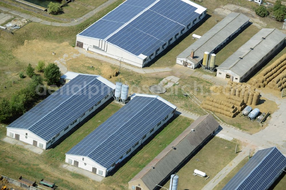 Aerial image Schönfließ - Animal breeding equipment Livestock breeding for meat production in Schoenfliess in the state Brandenburg