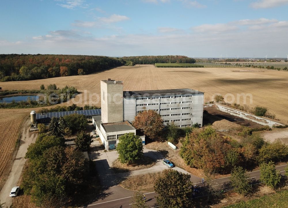 Maasdorf from above - Animal breeding equipment Livestock breeding for meat production of pork in Maasdorf in the state Saxony-Anhalt, Germany