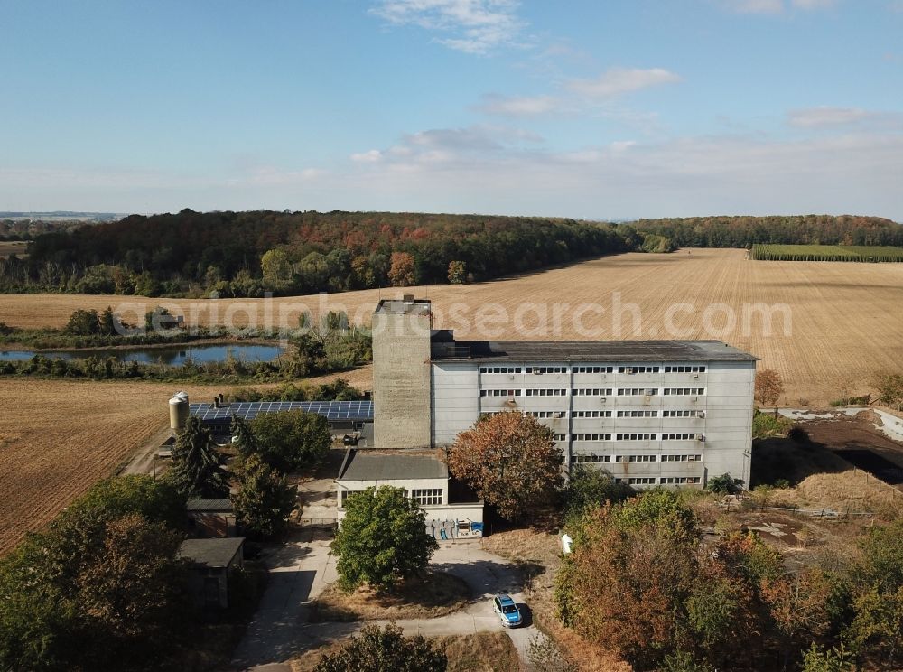 Maasdorf from the bird's eye view: Animal breeding equipment Livestock breeding for meat production of pork in Maasdorf in the state Saxony-Anhalt, Germany