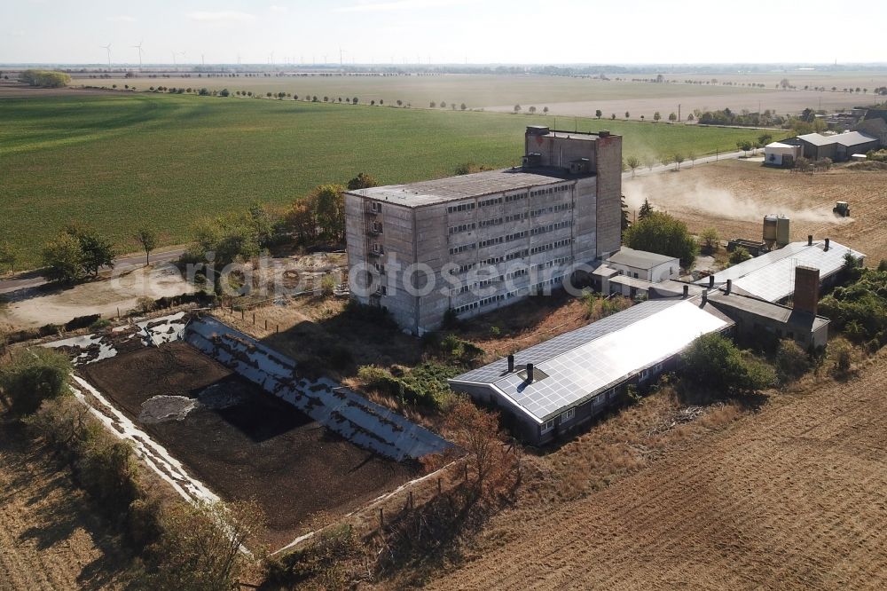 Maasdorf from above - Animal breeding equipment Livestock breeding for meat production of pork in Maasdorf in the state Saxony-Anhalt, Germany