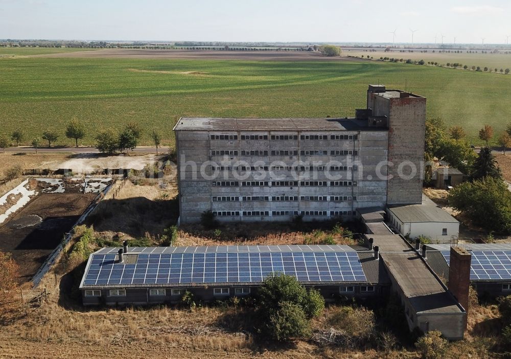 Maasdorf from the bird's eye view: Animal breeding equipment Livestock breeding for meat production of pork in Maasdorf in the state Saxony-Anhalt, Germany