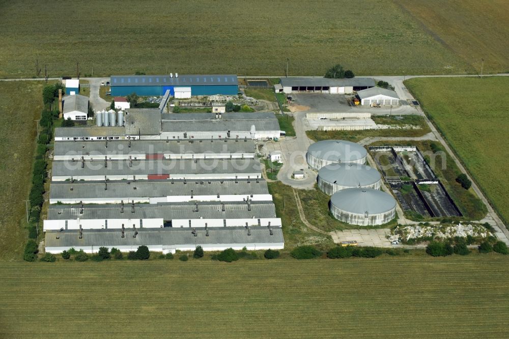 Wellaune from above - Animal breeding equipment Livestock breeding for meat production in Wellaune in the state Saxony