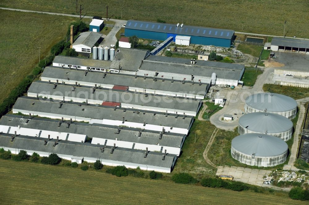 Aerial image Wellaune - Animal breeding equipment Livestock breeding for meat production in Wellaune in the state Saxony