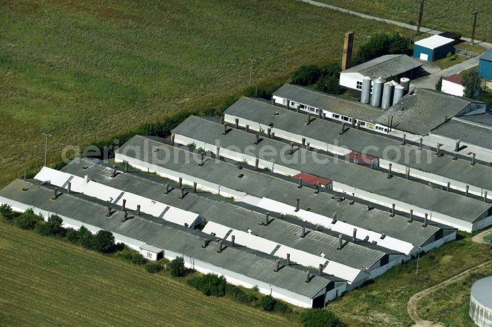 Wellaune from the bird's eye view: Animal breeding equipment Livestock breeding for meat production in Wellaune in the state Saxony