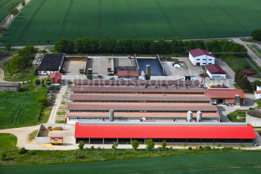 Aerial photograph Westerengel - Animal breeding equipment Livestock breeding for meat production in Westerengel in the state Thuringia, Germany