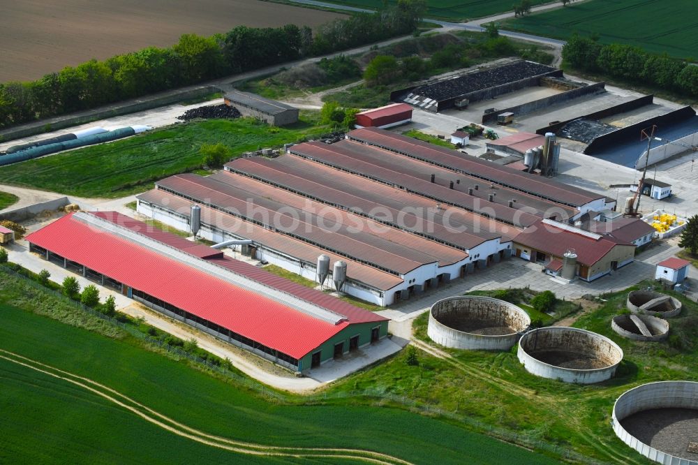 Westerengel from above - Animal breeding equipment Livestock breeding for meat production in Westerengel in the state Thuringia, Germany