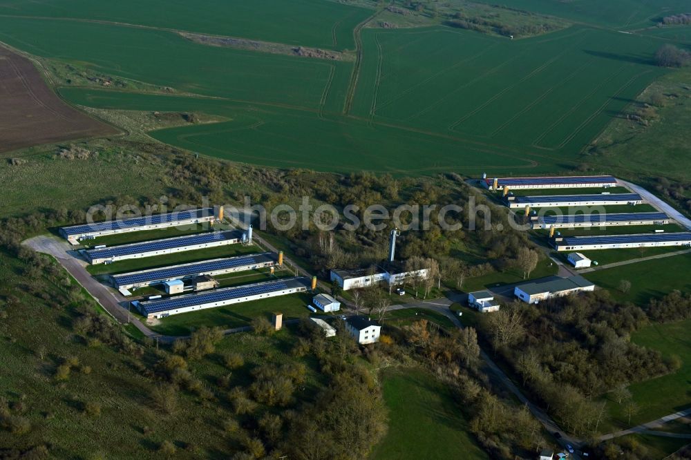 Aerial photograph Wettin - Animal breeding equipment Livestock breeding for meat production in Wettin in the state Saxony-Anhalt, Germany