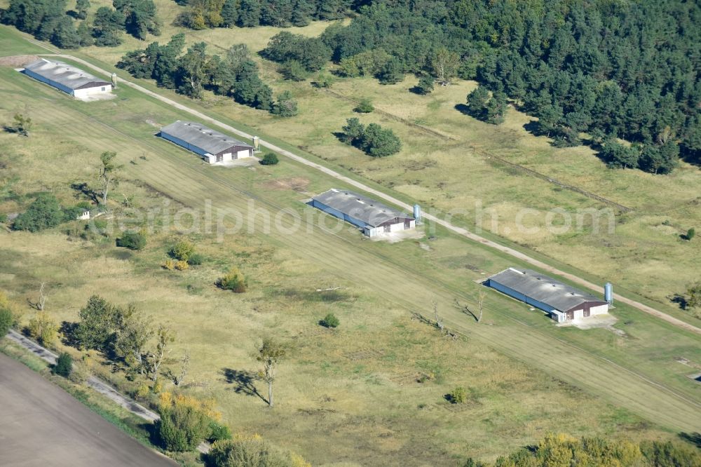 Wriezen from the bird's eye view: Animal breeding equipment Livestock breeding for meat production in Wriezen in the state Brandenburg, Germany