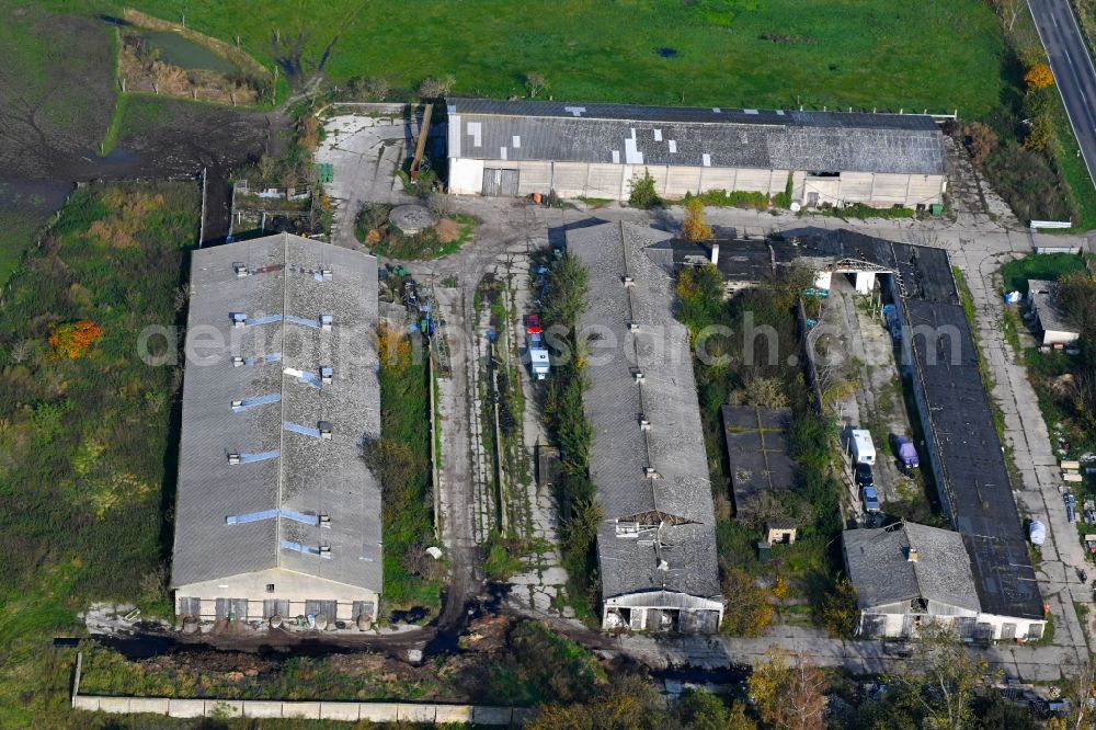 Aerial image Zehlendorf - Animal breeding equipment Livestock breeding for meat production in Zehlendorf in the state Brandenburg, Germany