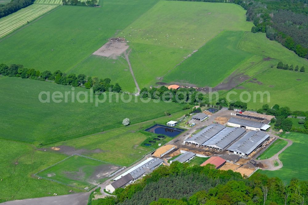 Aerial image Zerpenschleuse - Animal breeding equipment Livestock breeding for meat production in Zerpenschleuse in the state Brandenburg, Germany