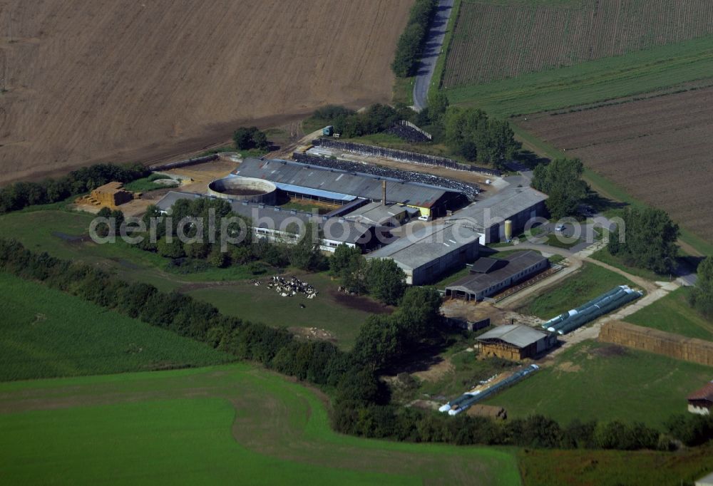 Aerial photograph Zixdorf - Animal breeding equipment Livestock breeding for milk production in Zixdorf in the state Brandenburg