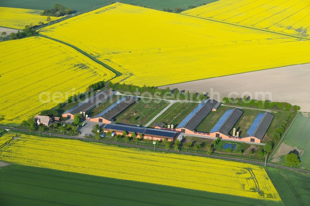 Vissum from above - Stalled equipment for poultry farming and poultry production Altmaerker Putenzucht Inhestern on Ritzlebener Strasse in Vissum in the state Saxony-Anhalt, Germany