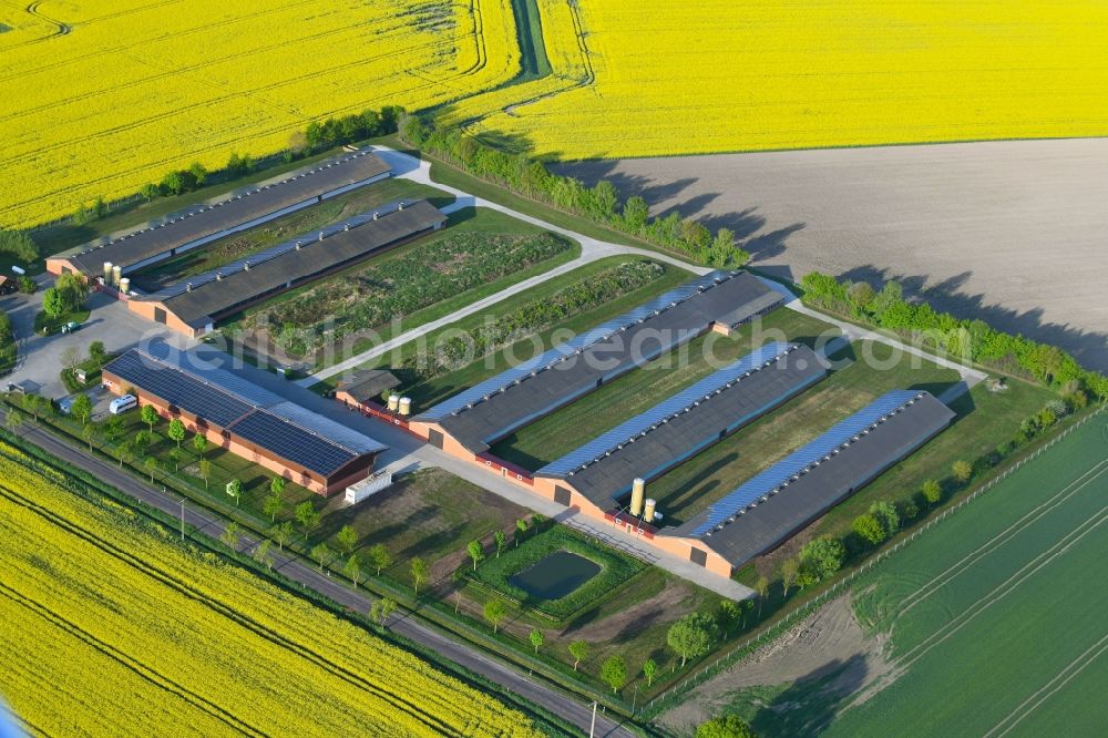 Vissum from the bird's eye view: Stalled equipment for poultry farming and poultry production Altmaerker Putenzucht Inhestern on Ritzlebener Strasse in Vissum in the state Saxony-Anhalt, Germany