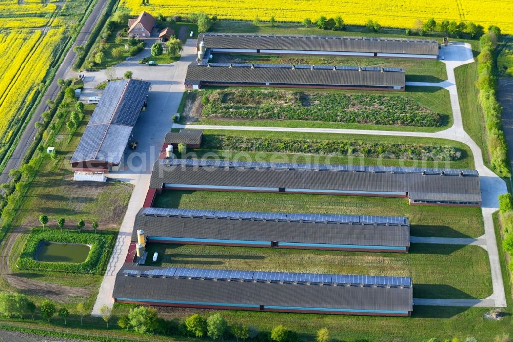 Aerial image Vissum - Stalled equipment for poultry farming and poultry production Altmaerker Putenzucht Inhestern on Ritzlebener Strasse in Vissum in the state Saxony-Anhalt, Germany