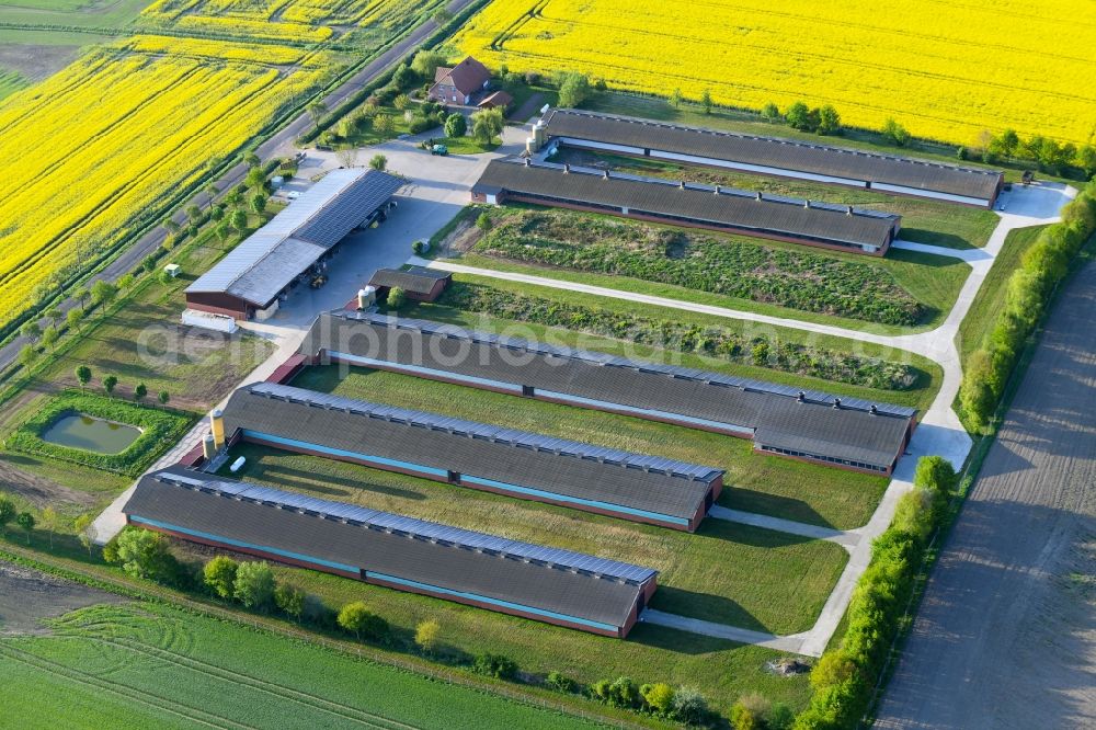 Aerial photograph Vissum - Stalled equipment for poultry farming and poultry production Altmaerker Putenzucht Inhestern on Ritzlebener Strasse in Vissum in the state Saxony-Anhalt, Germany