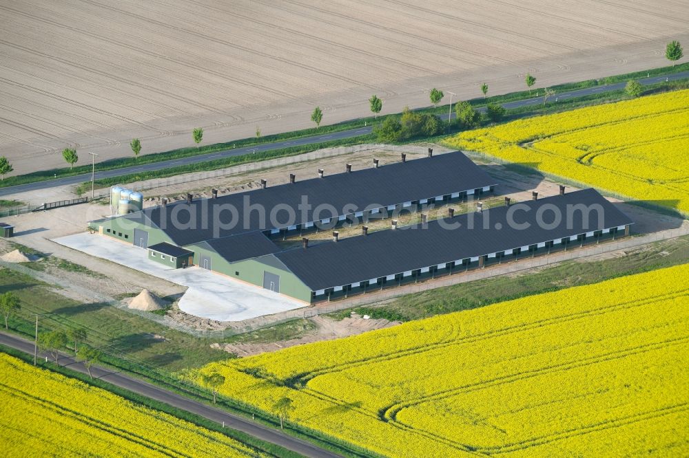 Vissum from above - Stalled equipment for poultry farming and poultry production Altmaerker Putenzucht Inhestern on Ritzlebener Strasse in Vissum in the state Saxony-Anhalt, Germany