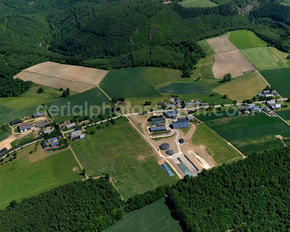 Aerial image Briedeler Heck, Briedel - Stalled equipment for poultry farming and poultry production in Briedeler Heck, Briedel in the state Rhineland-Palatinate