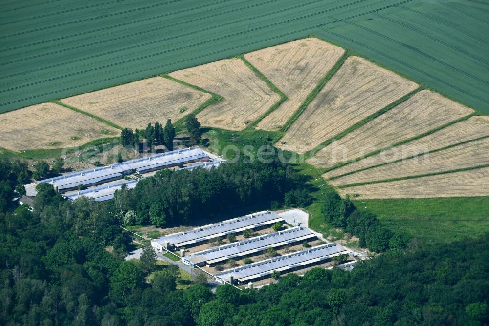 Aerial image Deersheim - Stalled equipment for poultry farming and poultry production in Deersheim in the state Saxony-Anhalt, Germany