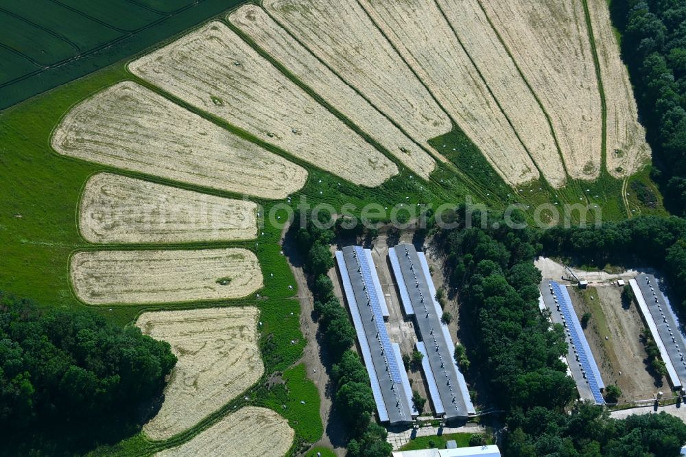 Deersheim from above - Stalled equipment for poultry farming and poultry production in Deersheim in the state Saxony-Anhalt, Germany