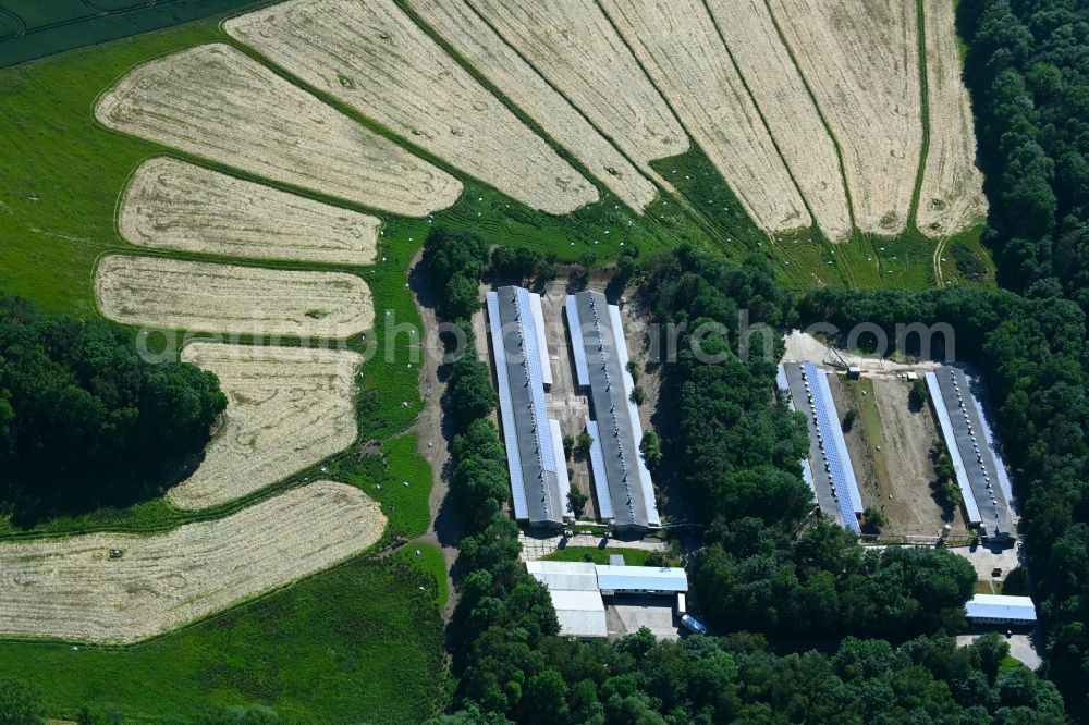 Deersheim from the bird's eye view: Stalled equipment for poultry farming and poultry production in Deersheim in the state Saxony-Anhalt, Germany