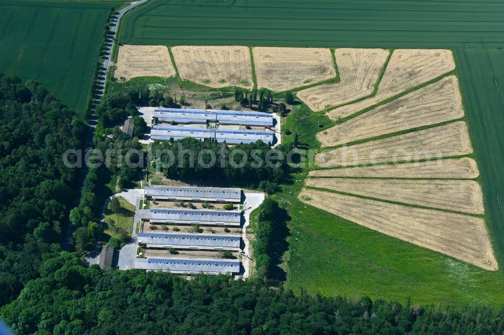 Aerial image Deersheim - Stalled equipment for poultry farming and poultry production in Deersheim in the state Saxony-Anhalt, Germany