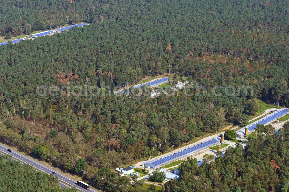 Ebersbach from above - Stalled equipment for poultry farming and poultry production in a forest area on street Zschornaer Strasse in Ebersbach in the state Saxony, Germany