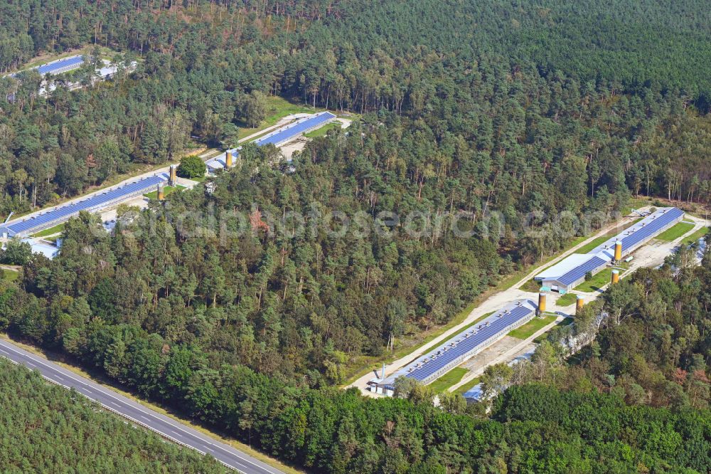 Ebersbach from above - Stalled equipment for poultry farming and poultry production in a forest area on street Zschornaer Strasse in Ebersbach in the state Saxony, Germany