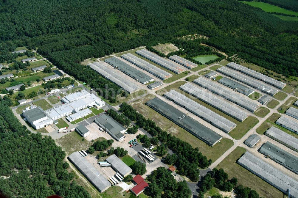 Aerial photograph Reuden/Anhalt - Stalled equipment for poultry farming and poultry production of Flaeminger Entenspezialitaeten GmbH & Co. KG on Reudener Strasse in Reuden/Anhalt in the state Saxony-Anhalt, Germany