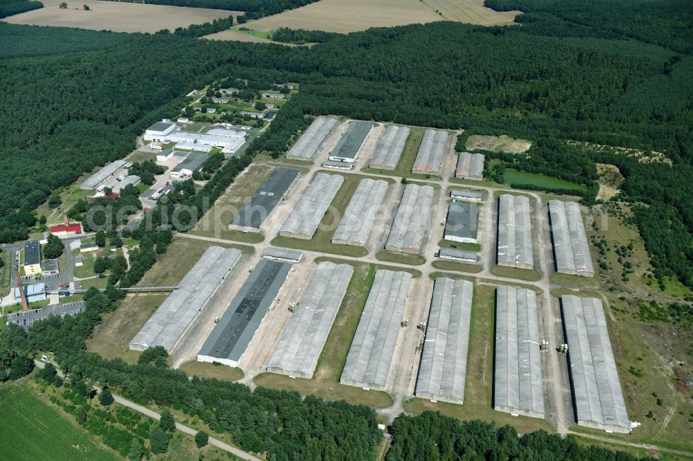 Aerial image Reuden/Anhalt - Stalled equipment for poultry farming and poultry production of Flaeminger Entenspezialitaeten GmbH & Co. KG on Reudener Strasse in Reuden/Anhalt in the state Saxony-Anhalt, Germany