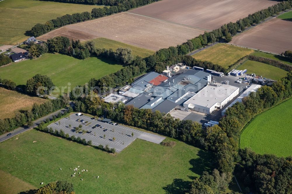 Delbrück from the bird's eye view: Stalled equipment for poultry farming and poultry production of Heinrich Borgmeier GmbH & Co. KG in the district Schoening in Delbrueck in the state North Rhine-Westphalia, Germany