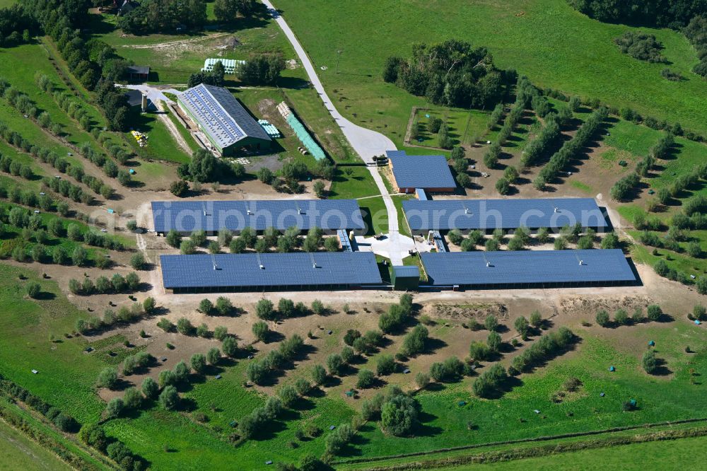 Aerial photograph Klein Kussewitz - Stalled equipment for poultry farming and poultry production on street Auf der Heide in Klein Kussewitz in the state Mecklenburg - Western Pomerania, Germany