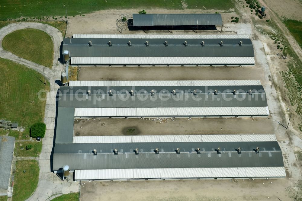 Aerial image Elbe-Parey - Stable arrangements to the poultry breeding and fowl mast of the Koelkebecker Gefluegelhaltung GmbH in Elbe-Parey in the federal state Saxony-Anhalt, Germany