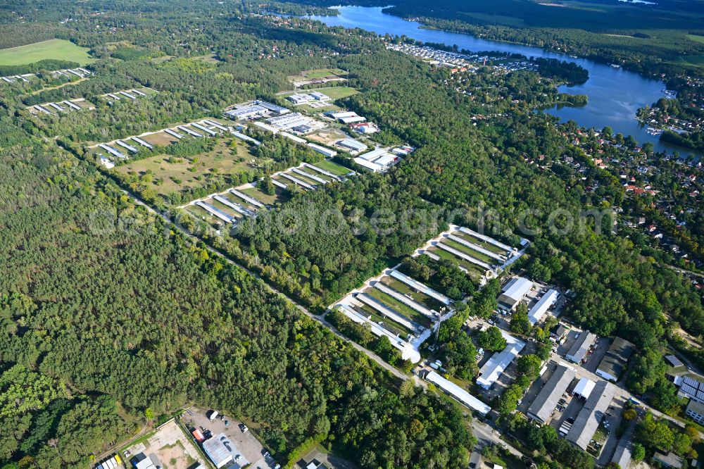 Aerial image Königs Wusterhausen - Stalled equipment for poultry farming and poultry production in the district Zernsdorf in Koenigs Wusterhausen in the state Brandenburg, Germany