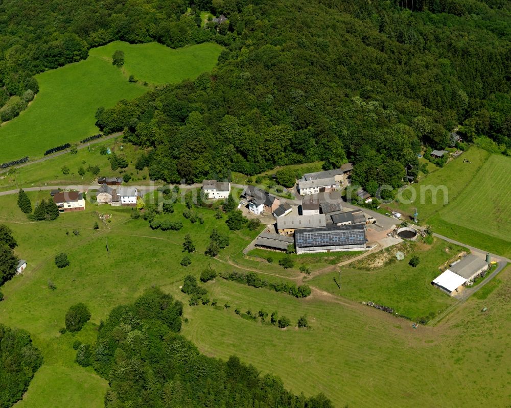 Aerial photograph Manroth, Neustadt (Wied) - Stalled equipment for poultry farming and poultry production in Manroth, Neustadt (Wied) in the state Rhineland-Palatinate