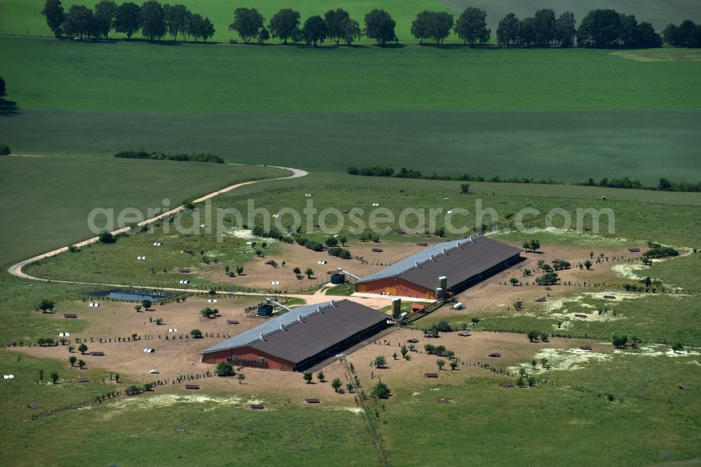 Zempow from above - Stalled equipment for poultry farming in the North of Zempow in the state of Brandenburg. The premises with outdoor and two indoor facilities is surrounded by fields