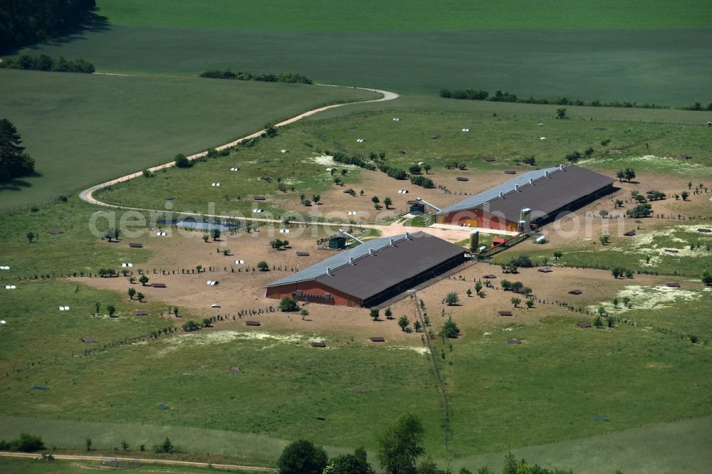 Zempow from the bird's eye view: Stalled equipment for poultry farming in the North of Zempow in the state of Brandenburg. The premises with outdoor and two indoor facilities is surrounded by fields