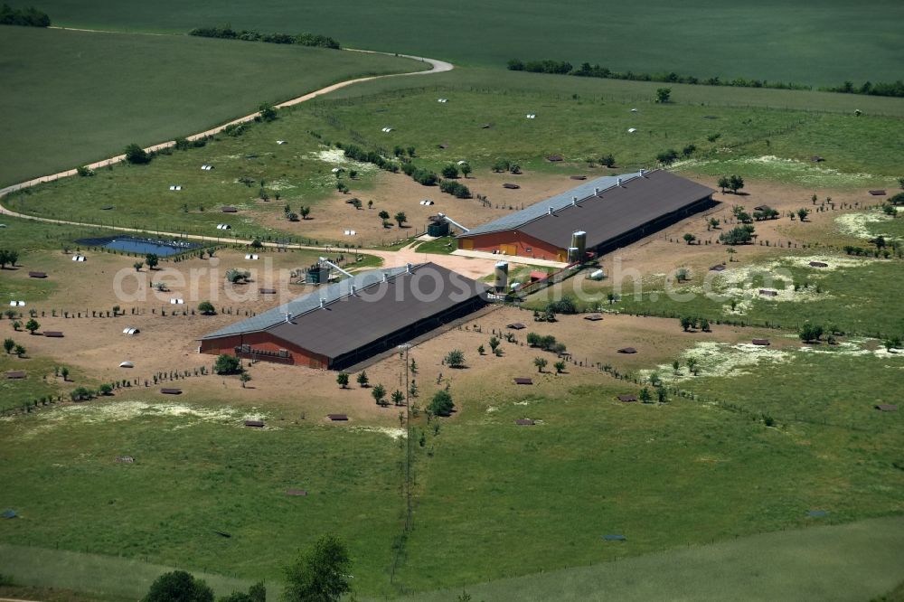 Aerial image Zempow - Stalled equipment for poultry farming in the North of Zempow in the state of Brandenburg. The premises with outdoor and two indoor facilities is surrounded by fields