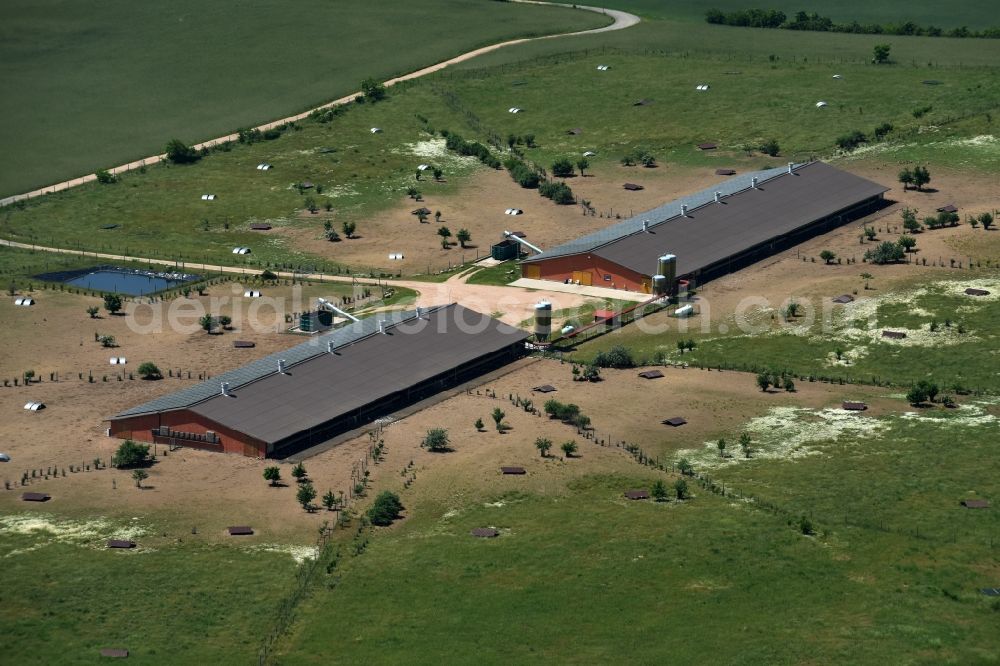 Aerial photograph Zempow - Stalled equipment for poultry farming in the North of Zempow in the state of Brandenburg. The premises with outdoor and two indoor facilities is surrounded by fields