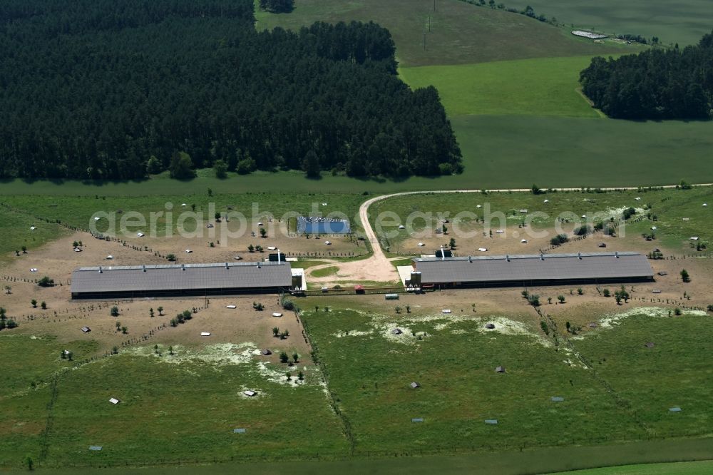 Zempow from above - Stalled equipment for poultry farming in the North of Zempow in the state of Brandenburg. The premises with outdoor and two indoor facilities is surrounded by fields