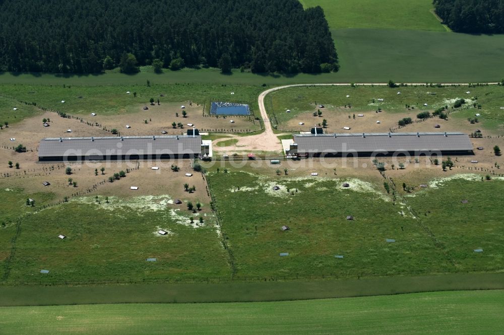 Zempow from the bird's eye view: Stalled equipment for poultry farming in the North of Zempow in the state of Brandenburg. The premises with outdoor and two indoor facilities is surrounded by fields