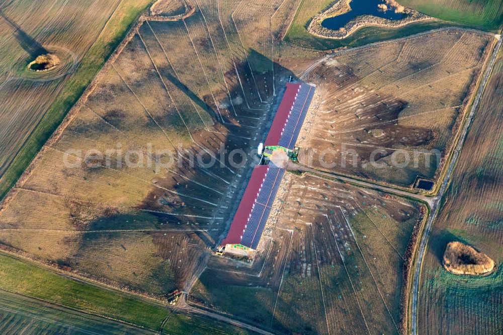 Aerial image Nordwestuckermark - Stalled equipment for poultry farming and poultry production in Nordwestuckermark in the state Brandenburg, Germany