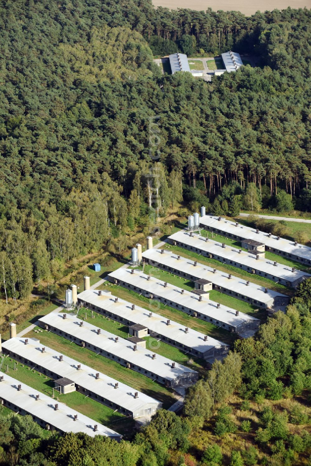 Biesenthal from the bird's eye view: Stalled equipment for poultry farming and poultry production on Ruednitzer Chaussee in the district Wullwinkel in Biesenthal in the state Brandenburg, Germany