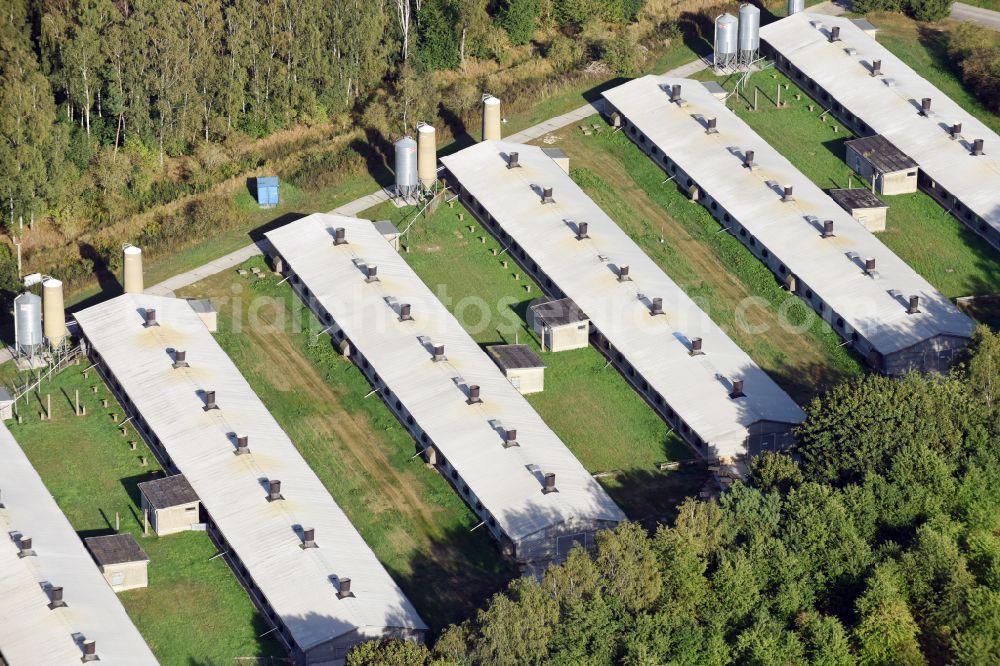 Aerial photograph Biesenthal - Stalled equipment for poultry farming and poultry production on Ruednitzer Chaussee in the district Wullwinkel in Biesenthal in the state Brandenburg, Germany