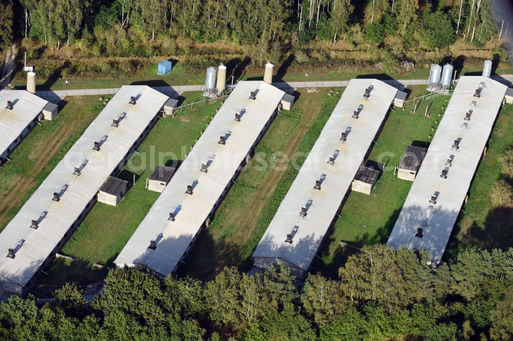 Biesenthal from the bird's eye view: Stalled equipment for poultry farming and poultry production on Ruednitzer Chaussee in the district Wullwinkel in Biesenthal in the state Brandenburg, Germany