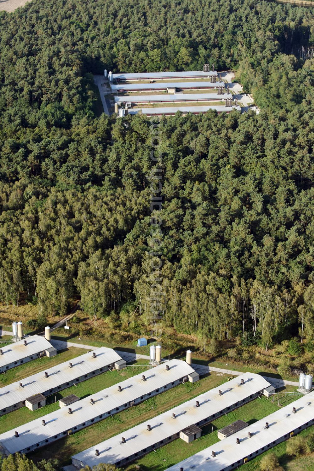 Aerial photograph Biesenthal - Stalled equipment for poultry farming and poultry production on Ruednitzer Chaussee in the district Wullwinkel in Biesenthal in the state Brandenburg, Germany