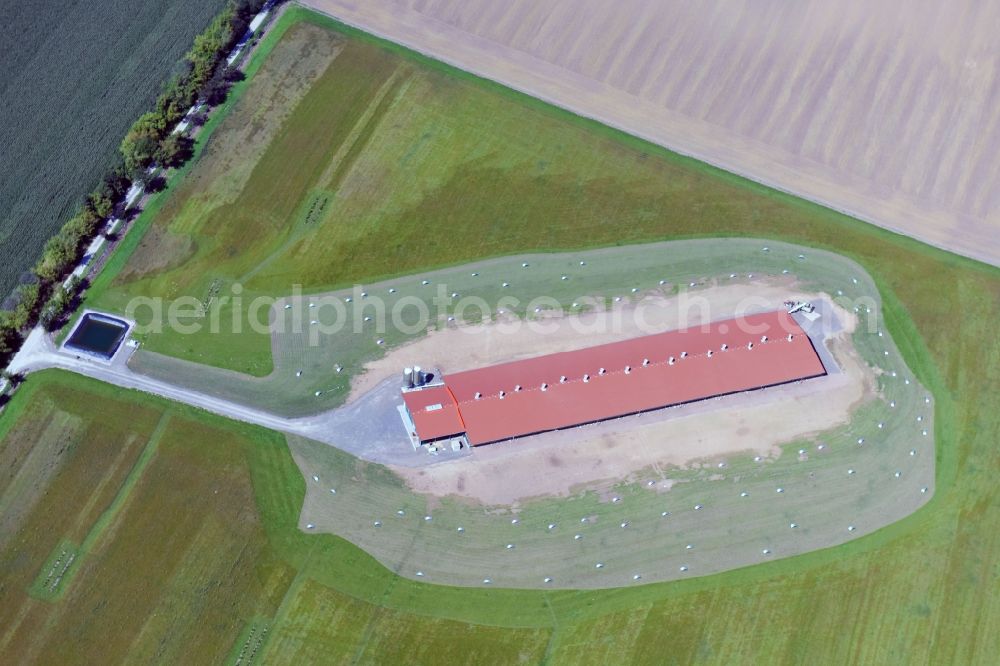 Farnstädt from the bird's eye view: Stalled equipment for poultry farming and poultry production in in the state Saxony-Anhalt, Germany